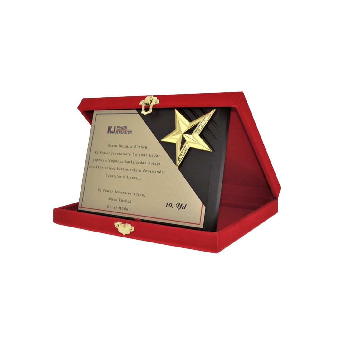 3d-yıldız-plaket