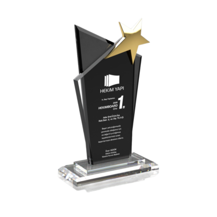 Kristal Siyah Yıldızlı Başarı ve Tebrik Plaketi