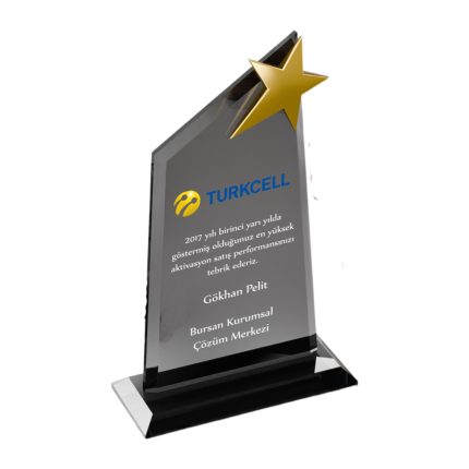 Kristal Yıldızlı Füme Satış ve Başarı Plaketi