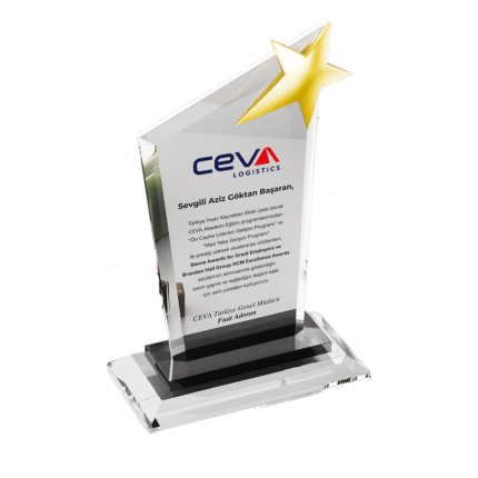 Standart Kristal  Yıldızlı Gayret ve Katkı Plaketi