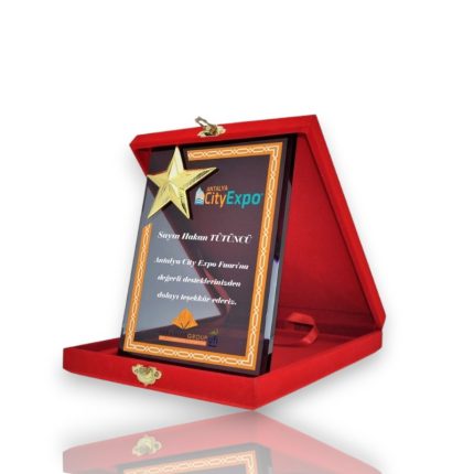 Yıldızlı Kadife Kutulu Kristal Plaket